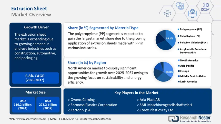 Extrusion Sheet Market overview